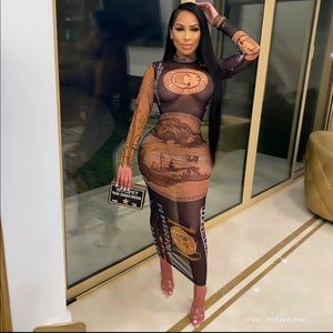 Posh by v mesh dress